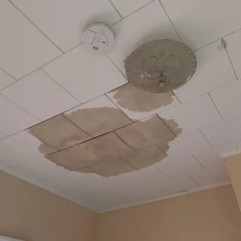 Ceiling Water Damage Repair in Palmona Park, FL